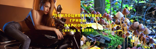 не бодяженный Аркадак