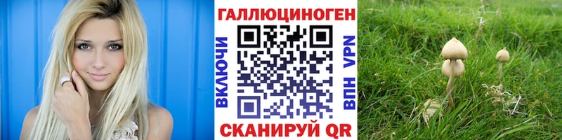 что такое   Барабинск  Галлюциногенные грибы ЛСД 